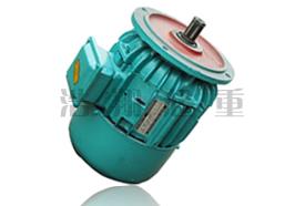 ZDY大車(chē)運(yùn)行電動(dòng)機(jī)